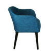 FABRIC-SWITCH-2